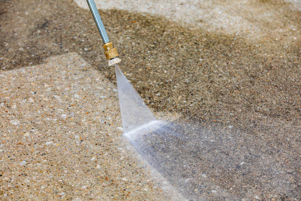 Best Sidewalk and Walkway Cleaning  in Shakopee, MN